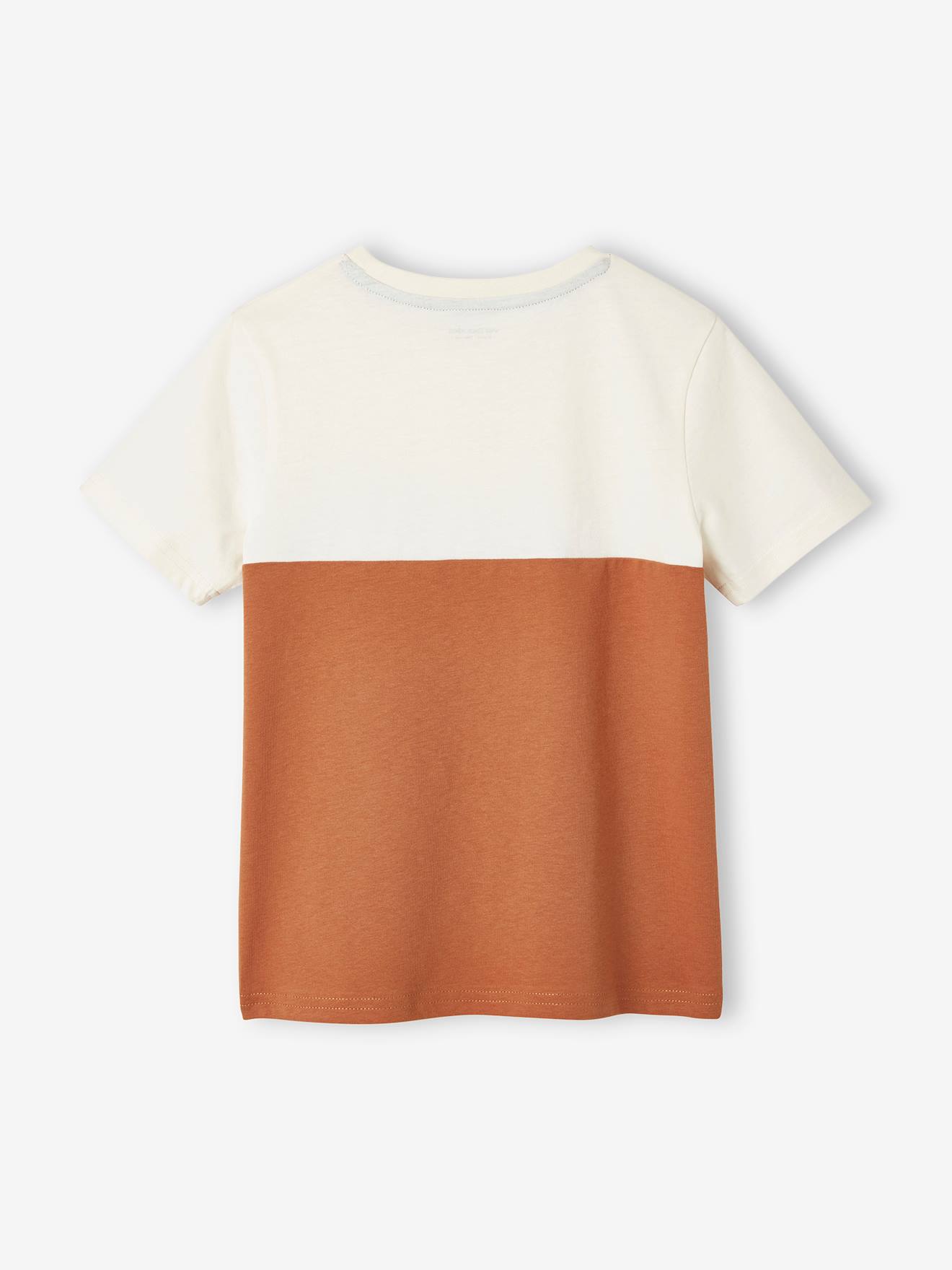 Camiseta infantil masculina de manga curta com blocos de cores, lisa na cor laranja média com estampas.
