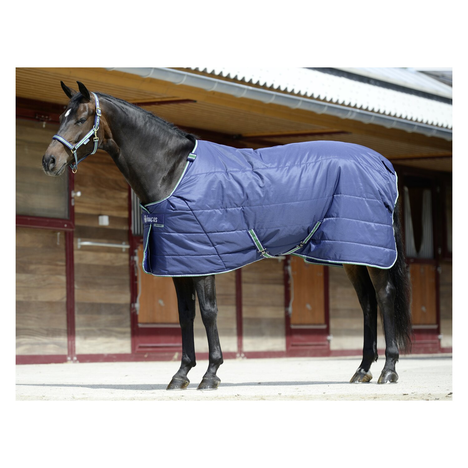 bucas Stalldecke Quilt 150g Stay-Dry - navy