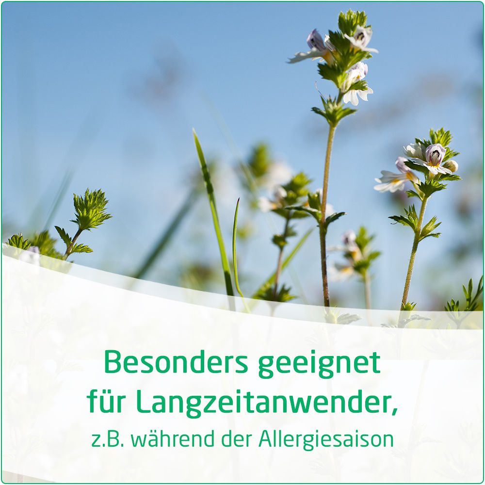 Visiodoron Euphrasia® Augentropfen - bei geröteten, gereizten & tränenden Augen einer Bindehautentzündung, bei Lidschwellung