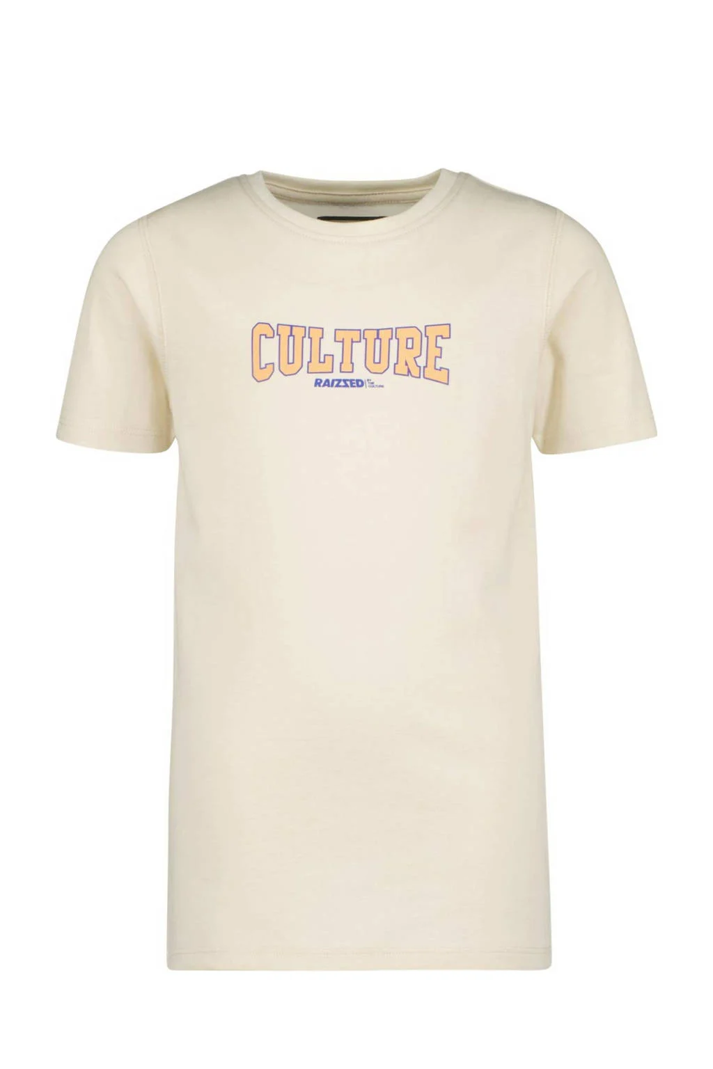 Raizzed T-shirt R123KBN30007 met logo beige