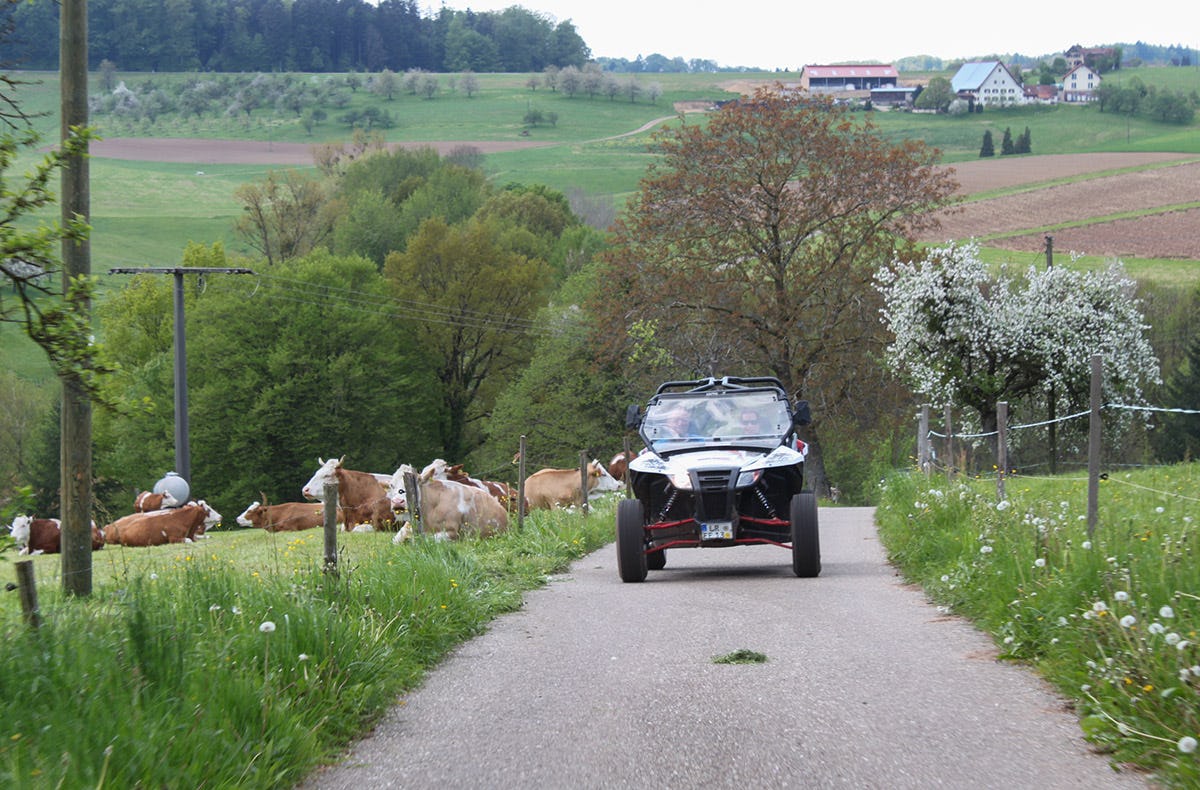 Im Buggy durch den Schwarzwald