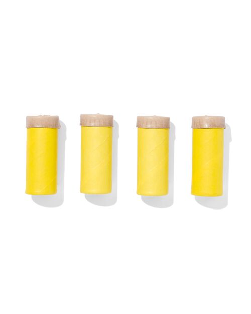 4 pièges à mouches