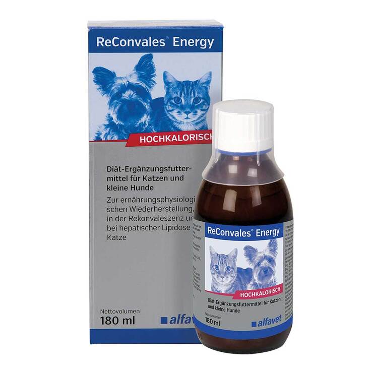 Reconvales Energy Diät-Erg.Futterm.für kl.Hund / Katze, 180 ml