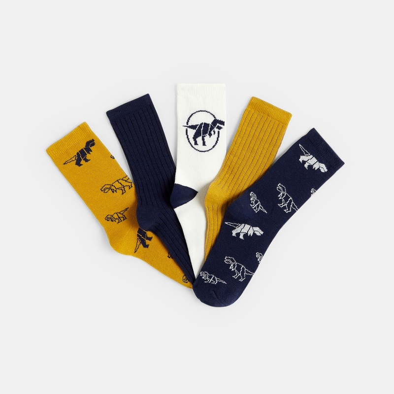 Chaussettes fantaisie à motifs multicolores Garçon (lot de 5)