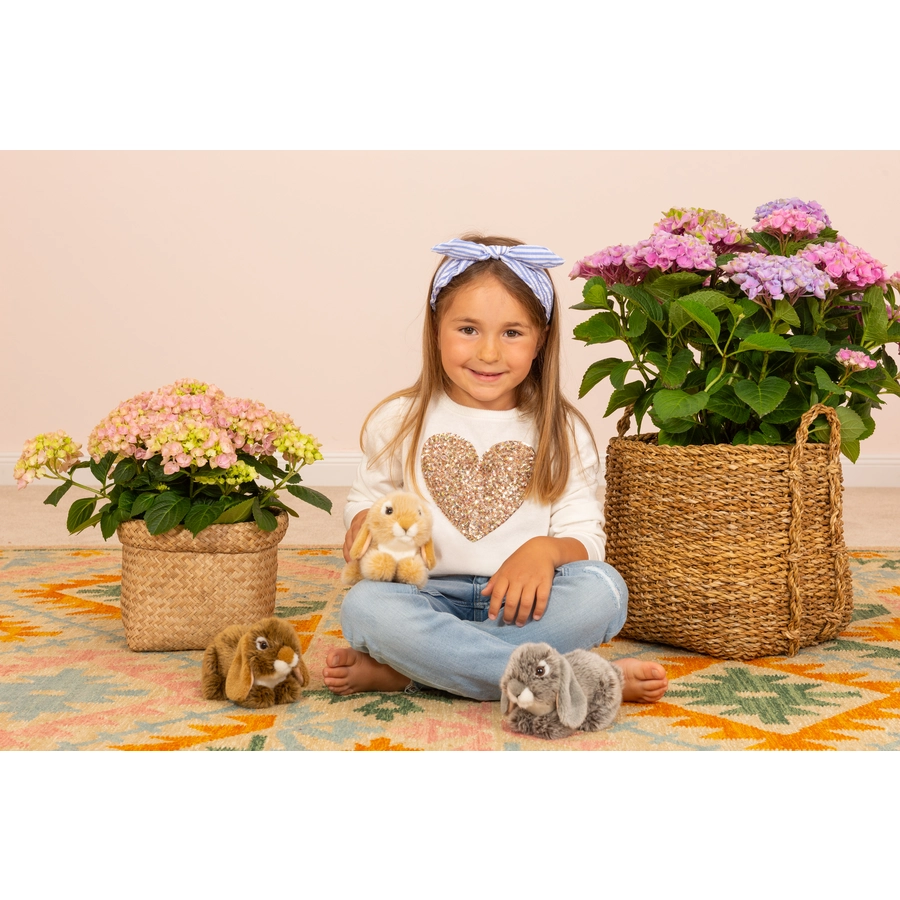 Teddy HERMANN® Widderkaninchen grau, 18 cm