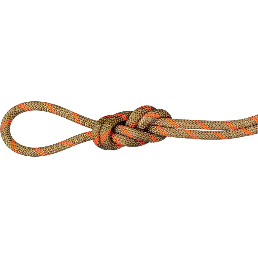 Mammut 8.0 Alpine Dry 50m Seil boa