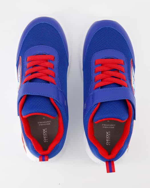 Geox Assister Boy Halbschuhe in Blau