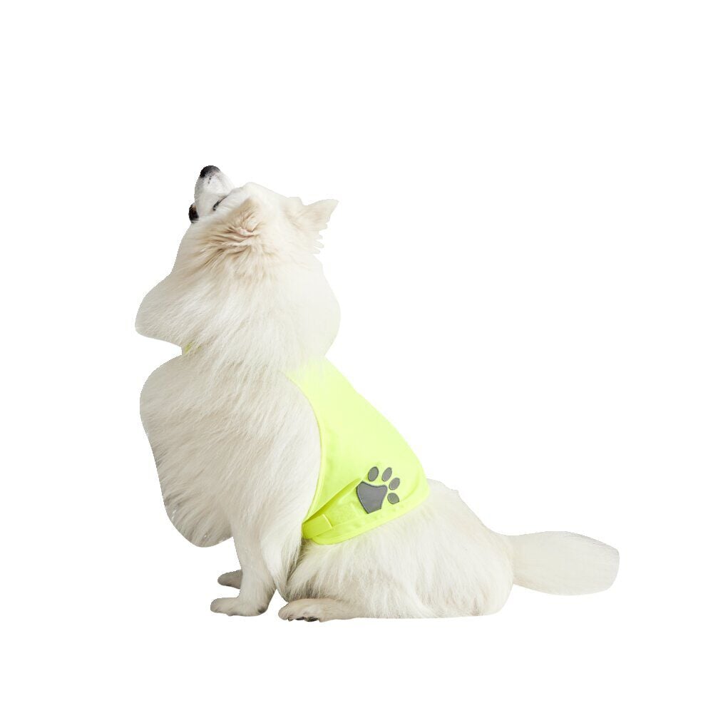 Gilet de sécurité pour chien réfléchissant Taille M
