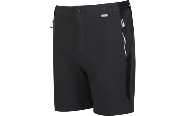 Regatta Mountain II Herren Shorts