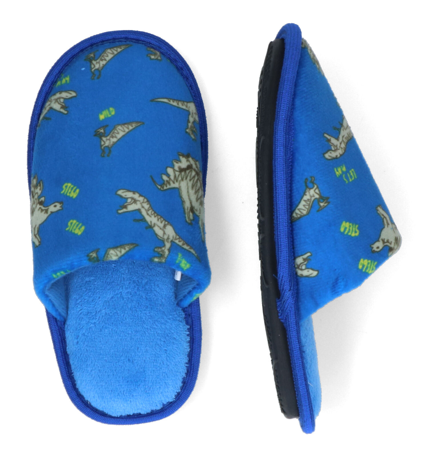 Pantoffels blauw