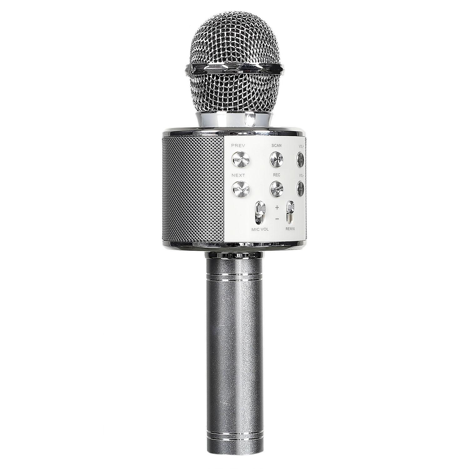 MICRO KARAOKE