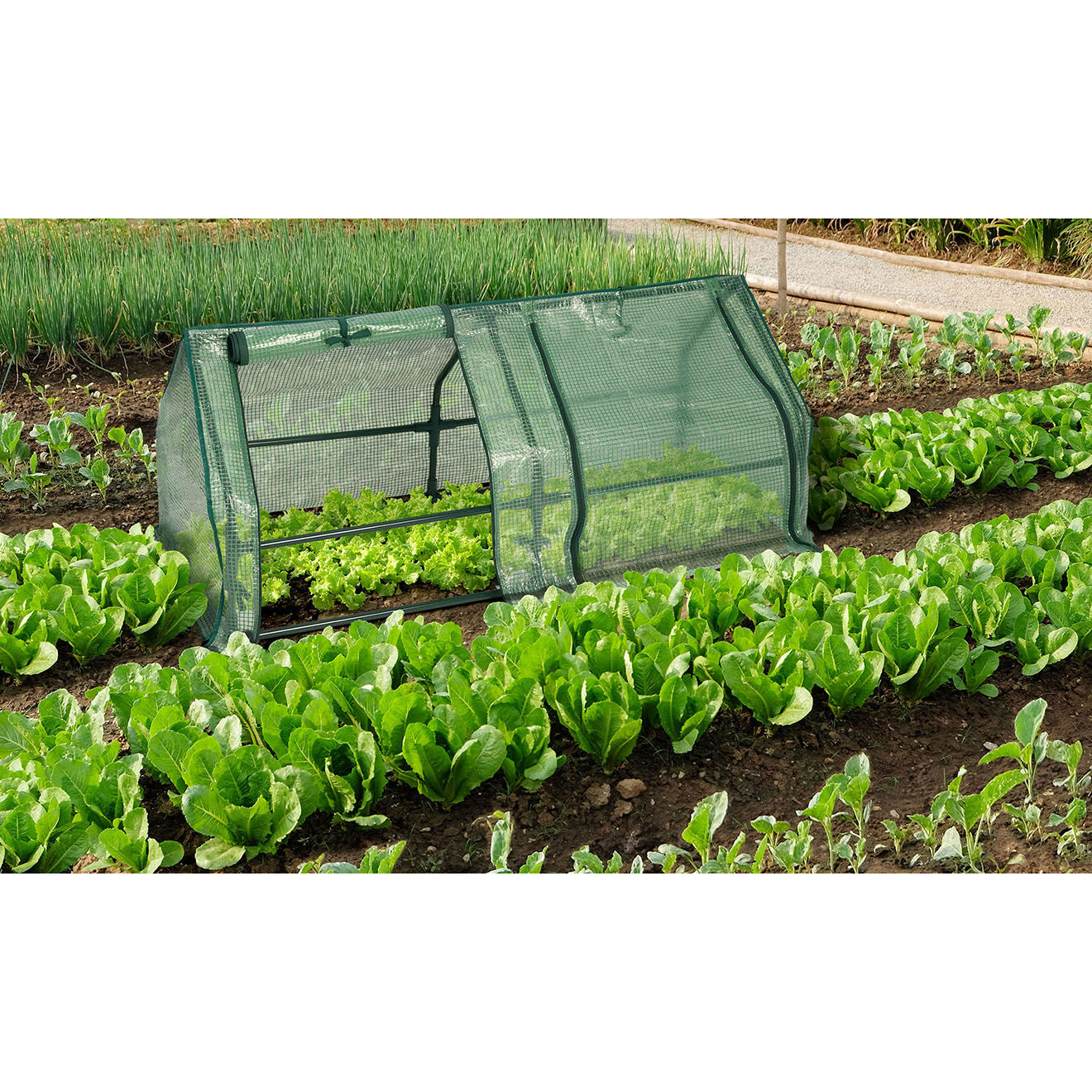 Pratik Garden Serre de forçage blanche - 120x50x50 cm