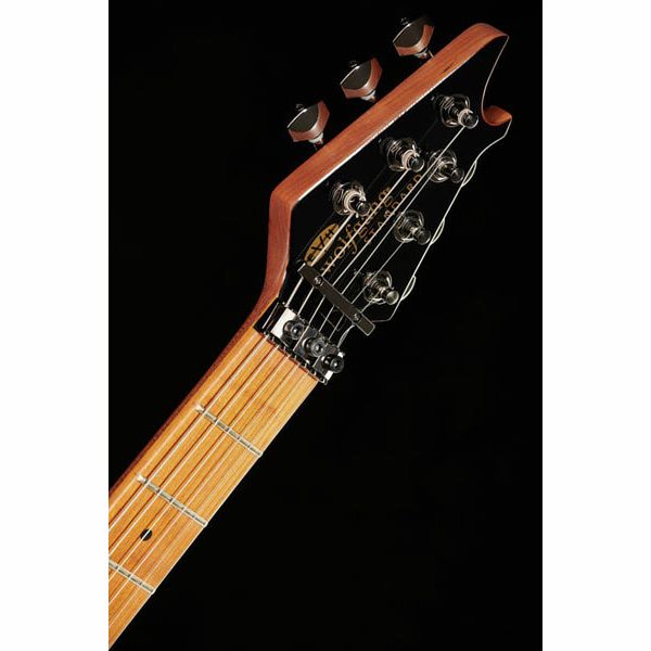 EVH Wolfgang WG Std QM CB