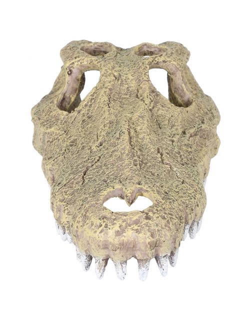 Aqua Della Krokodil Schedel - Aquarium - Ornament - 28.5x14.5x8 cm