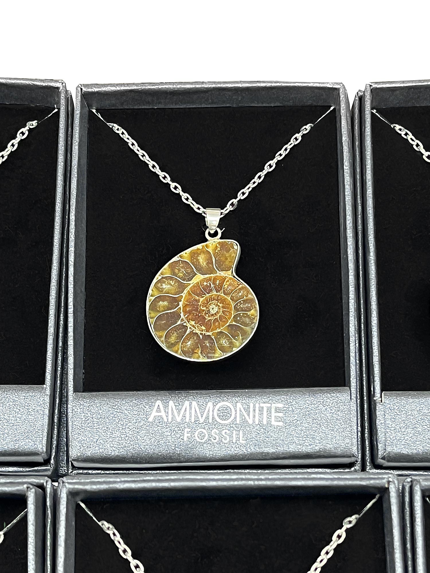 Kette mit Anhänger 'Ammonit', L 38 cm, Anhänger ca. H 4 cm, B 3 cm günstig bestellen