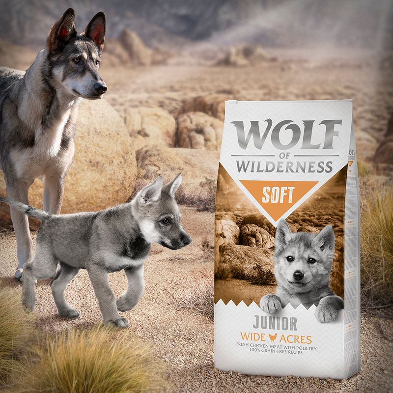 Wolf of Wilderness Junior Soft Wide Acres, poulet pour chiot