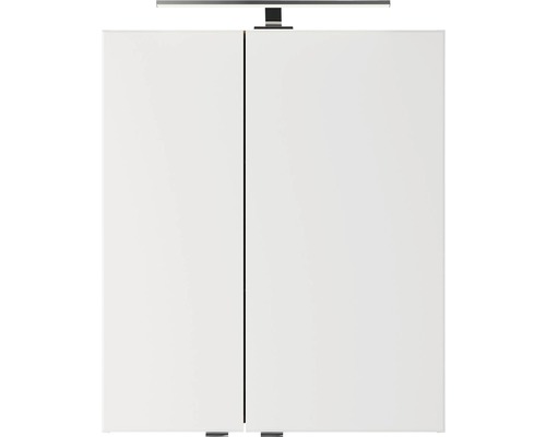 Pelipal Xpressline 4035 spiegelkast, 60 x 14,5 x 70,3 cm, eiken, 2-deurs, LED, IP 44