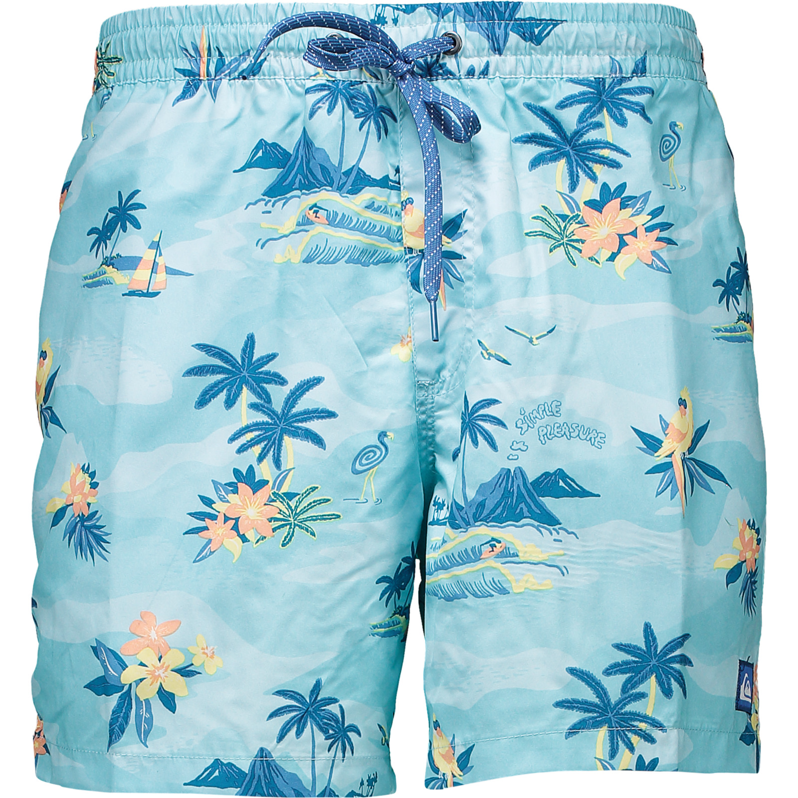 Quiksilver Herren-Badeshorts Everyday Scenic 15 XXL