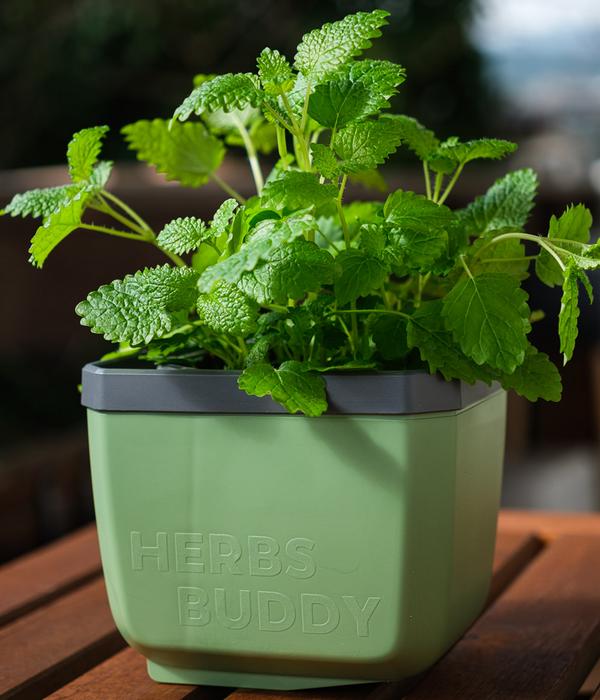 Gusta Garden Kräutertopf Herbs Buddy, ca.