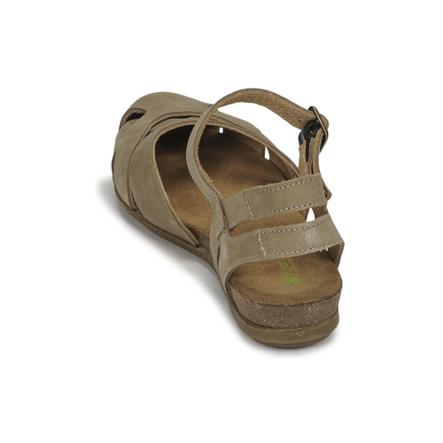El Naturalista - STELLA - Beige