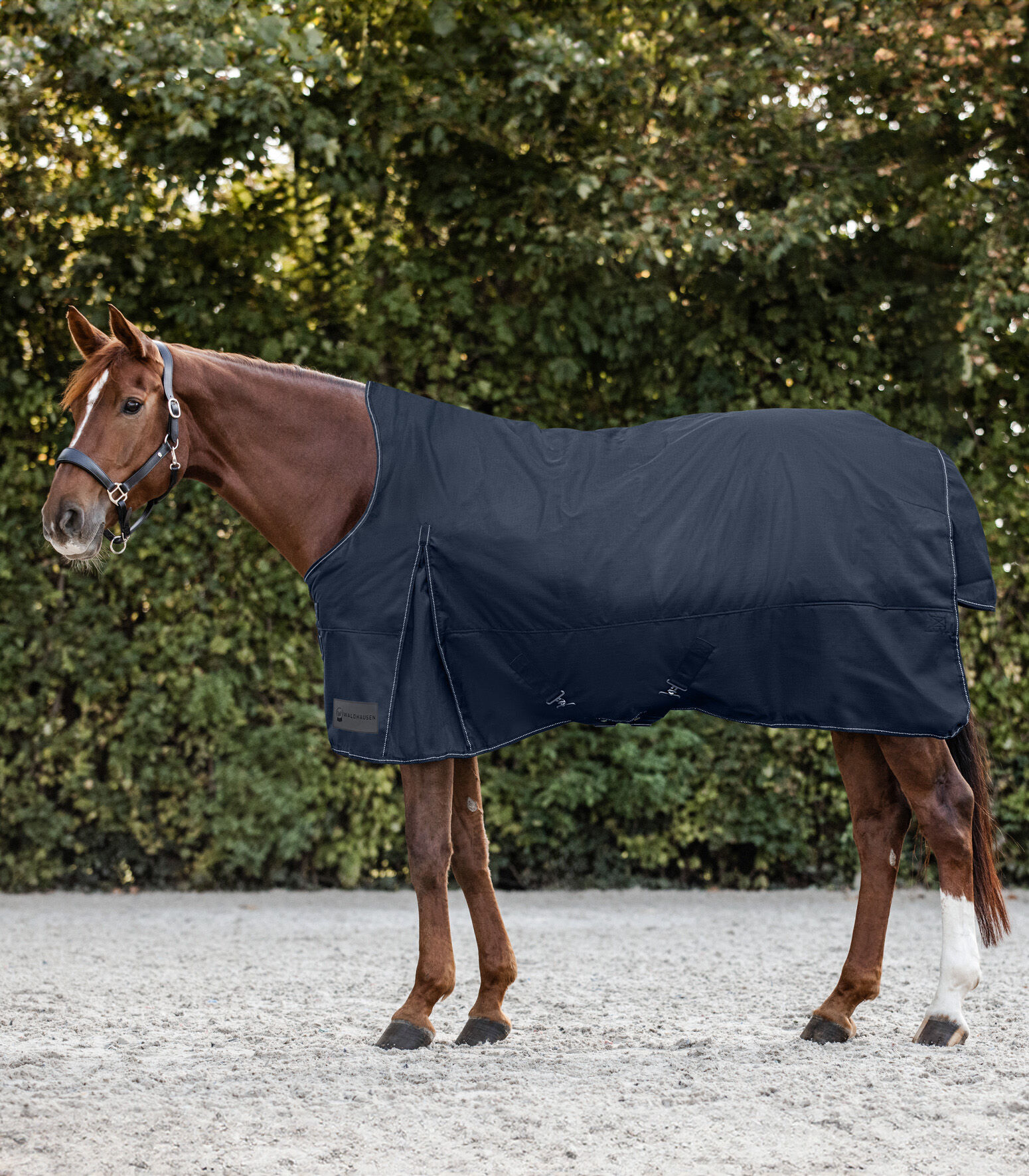 Waldhausen Nordic Hoge nek 200 gr - Winterdeken - Paardendeken - Blauw - 125/175