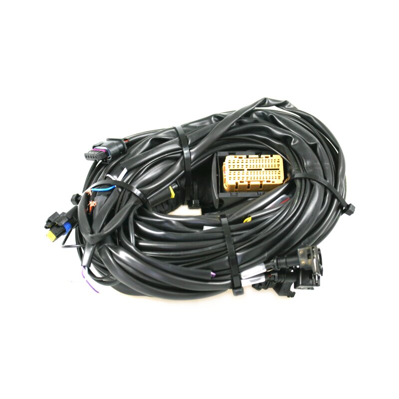 Landi Renzo Omegas DIRECT 1.0 & 3.0 - 4 Zylinder Kabelbaum (GI25)