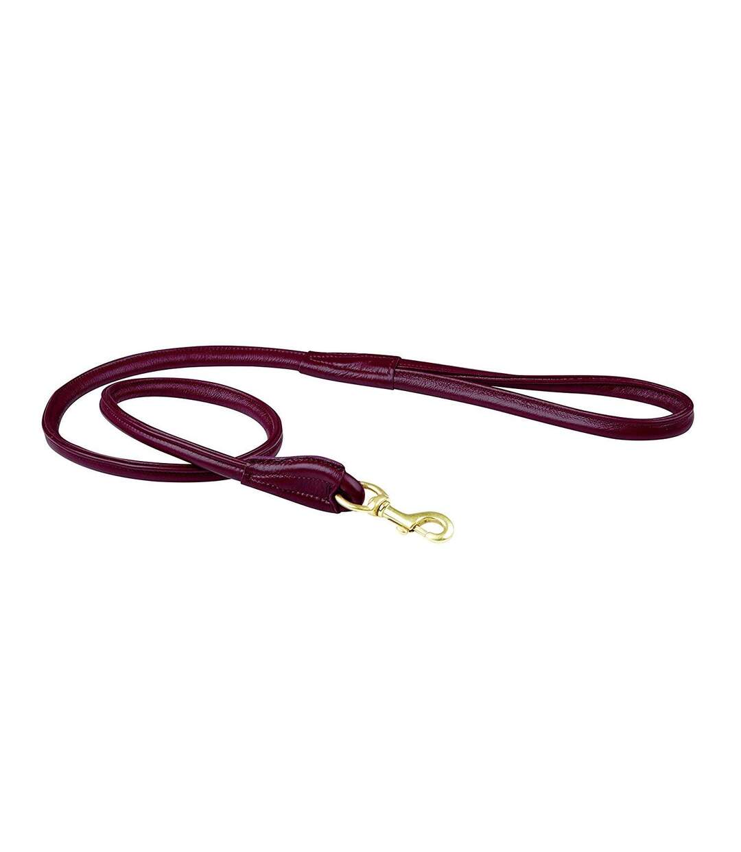 Weatherbeeta - Laisse de chien (Rouge) (Taille unique) - UTWB1257