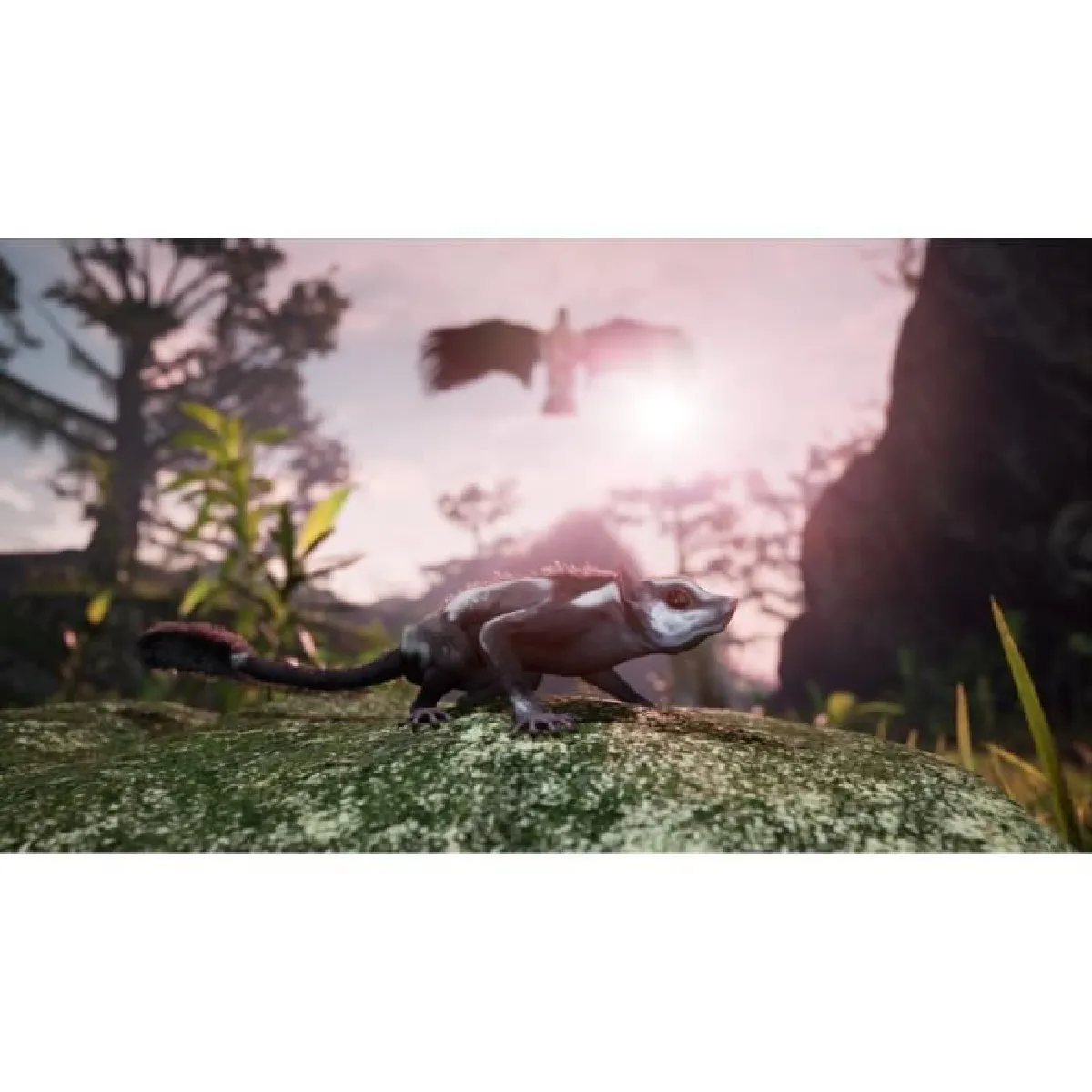 NC Away The Survival Series PS4