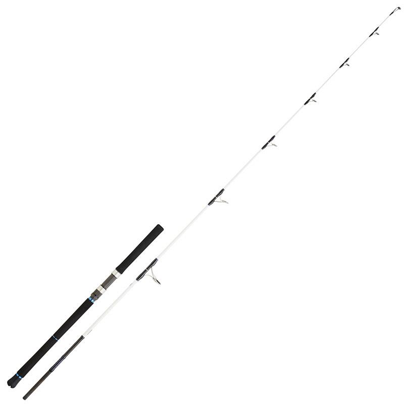 Canne Spinning Daiwa Saltist