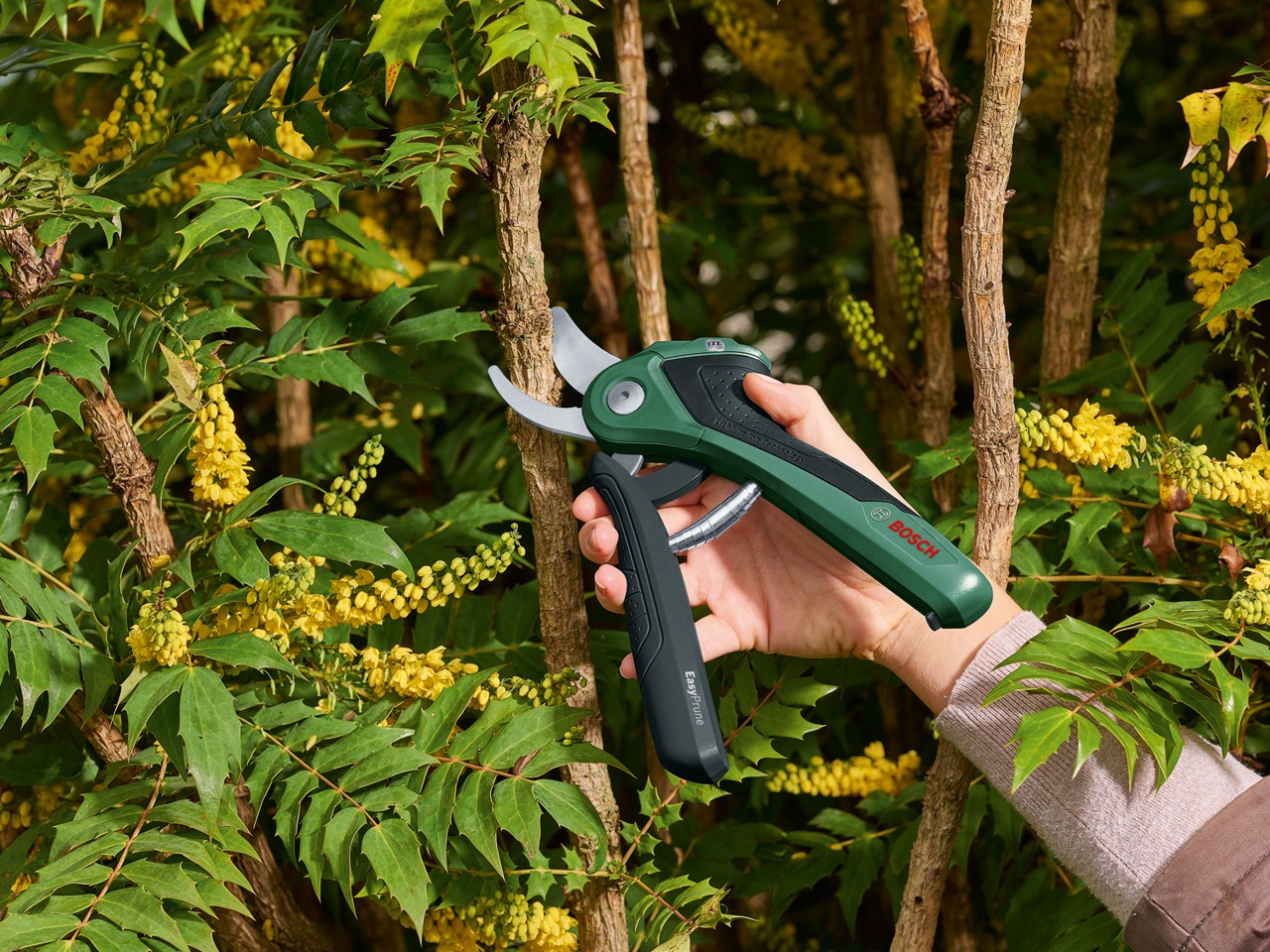 Bosch - Batteri Beskæringssaks Easy Prune 3,6V