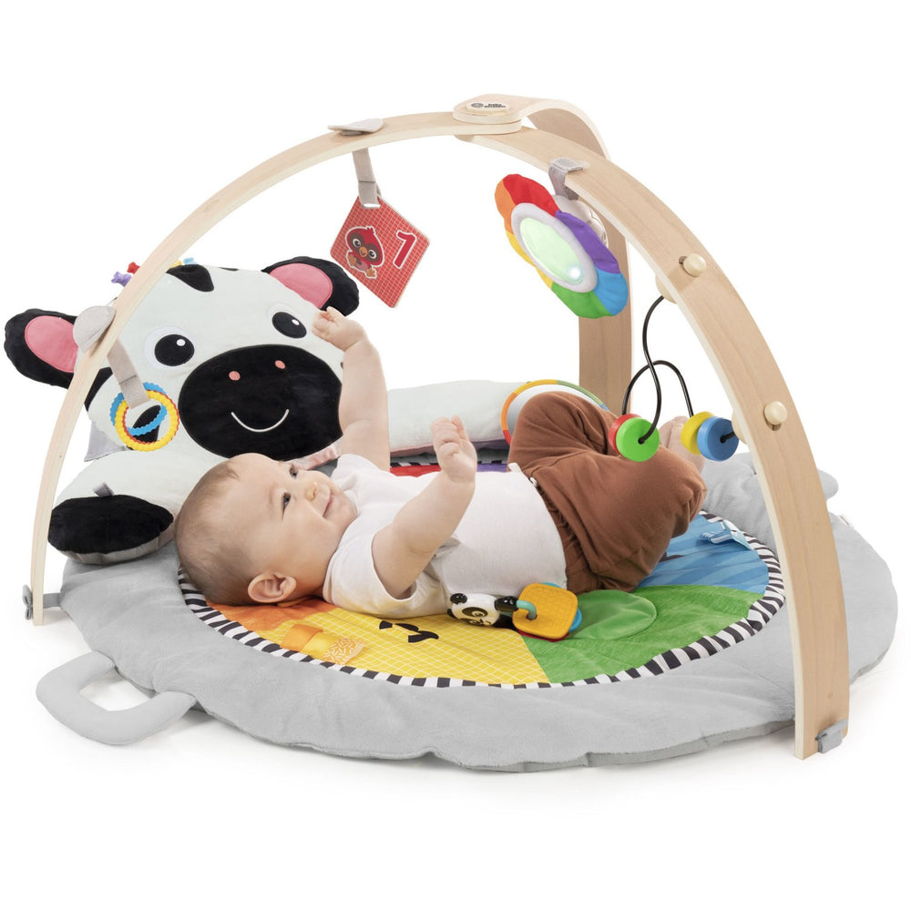 Køb Baby Einstein Plush Gym Zen's Activity Milestones™