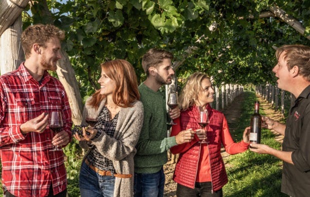 Weinbergwanderung in Worms als Geschenkidee