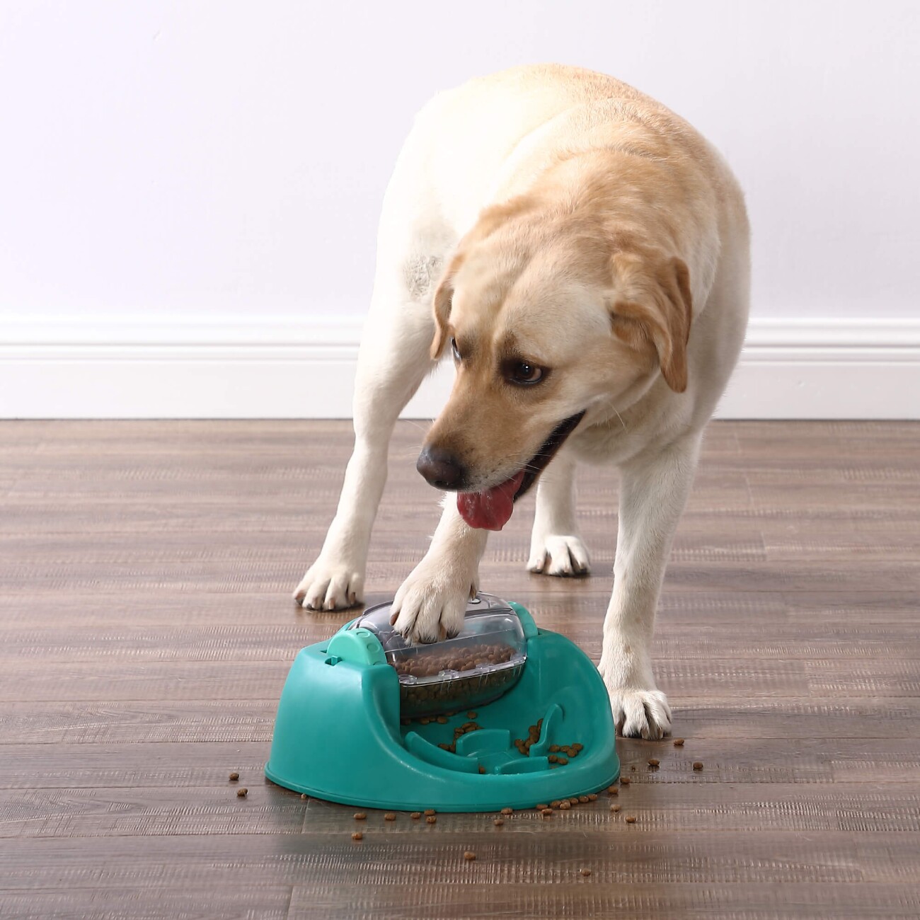 Nina Ottosson Dog Spin N' Eat Intelligenzspielzeug