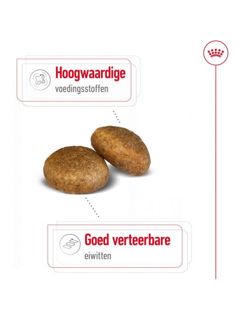 Royal Canin Maxi Adult - Hondenvoer