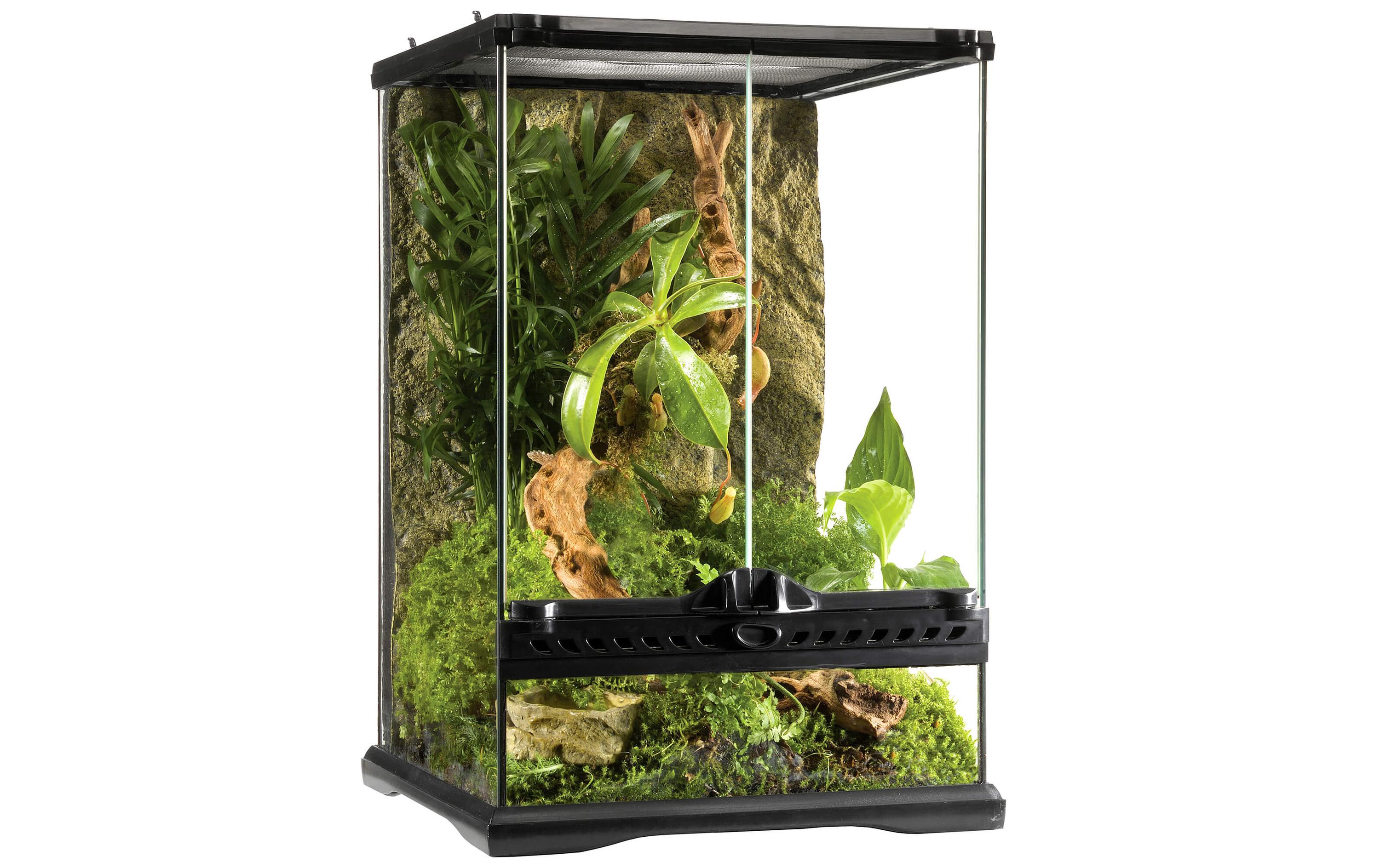 Glasterrarium Natural Mini/Tall, 30 x 30 x 45 cmTerrarium für Reptilien und Amphibien inkl. Steinmotivrückwand