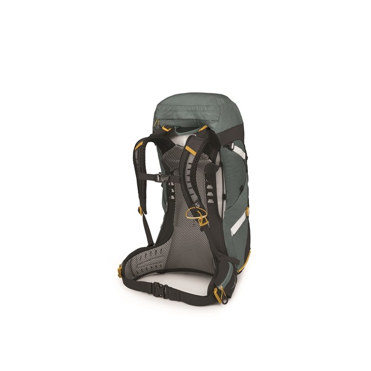 Osprey Sirrus 36 Backpack Women Succulent Green