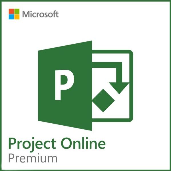 Microsoft Project Professional 2019