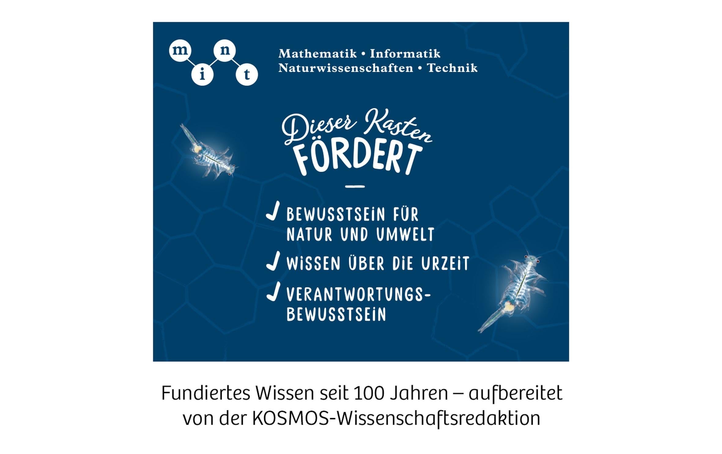Experimentierkasten SalzkrebseÜberlebenskünstler in der Wüste
