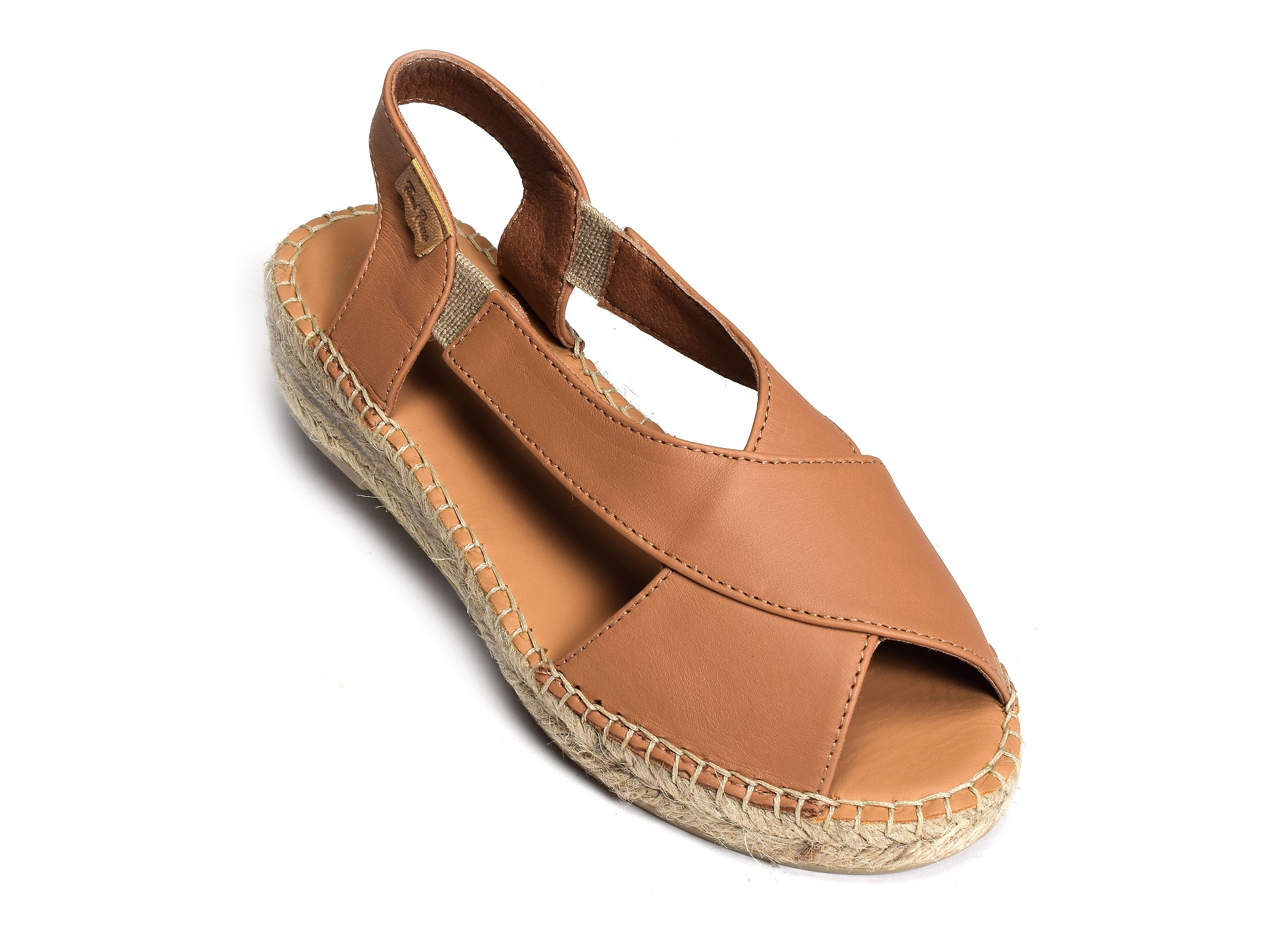 Elda camel