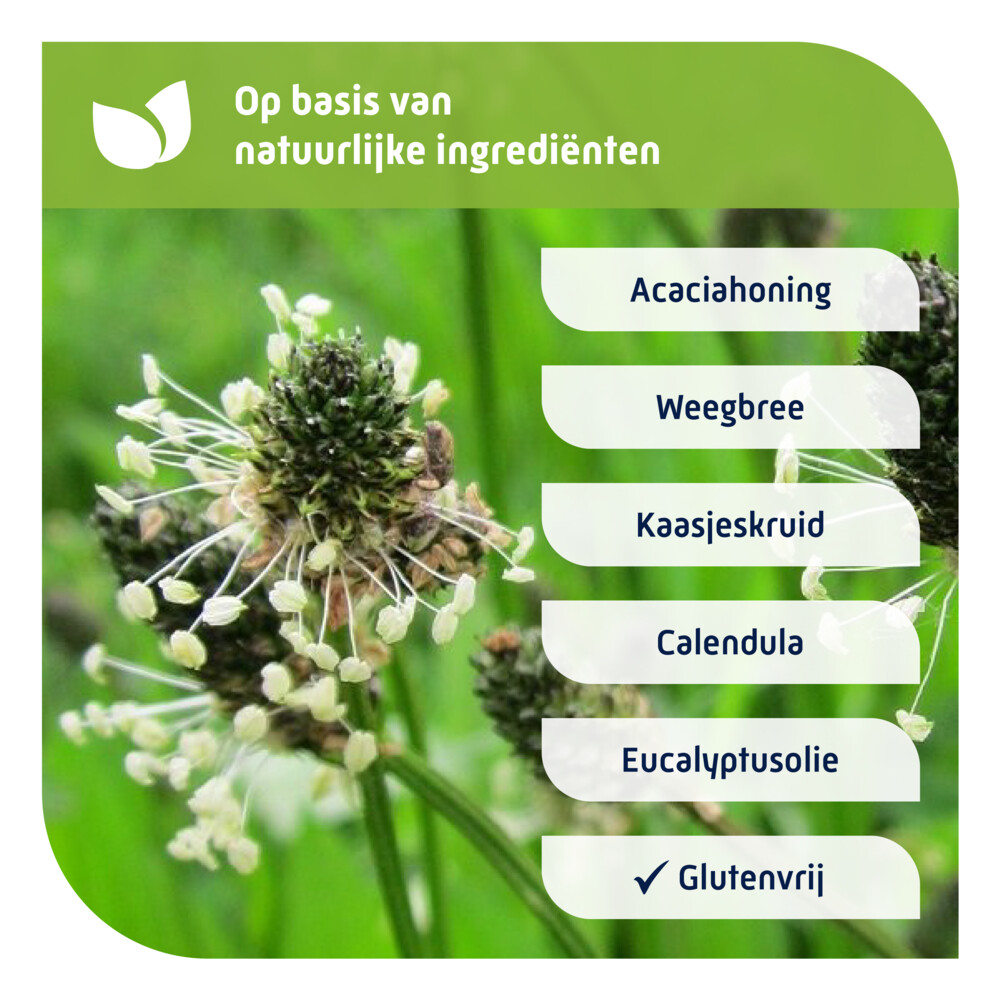 Natterman Voor alle Hoest Hoestdrank180 ml