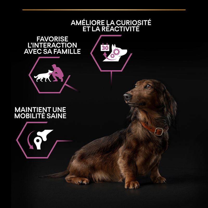 PURINA PRO PLAN Small & Mini Adult 9+ Age Defence