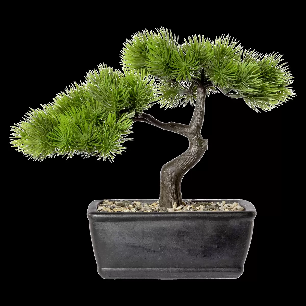 Bonsai im Topf Ann grün,schwarz