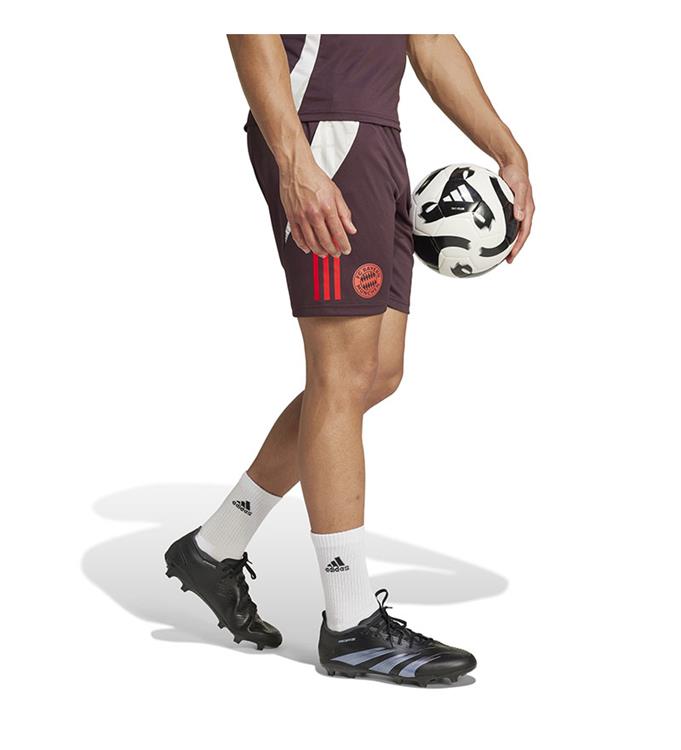 adidas Men FC Bayern Muchen Trainingsshort 2024/2025