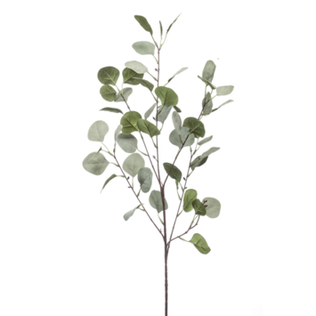 Eucalyptus spray 87cm