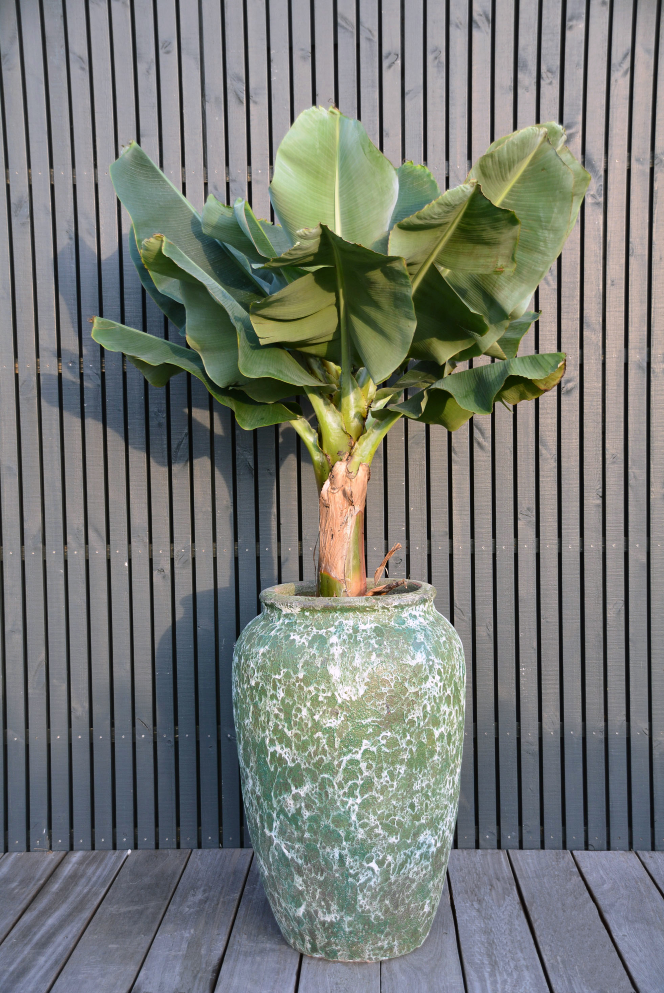 Plantenpot Ambang relic jade Ø62 x H95 cm