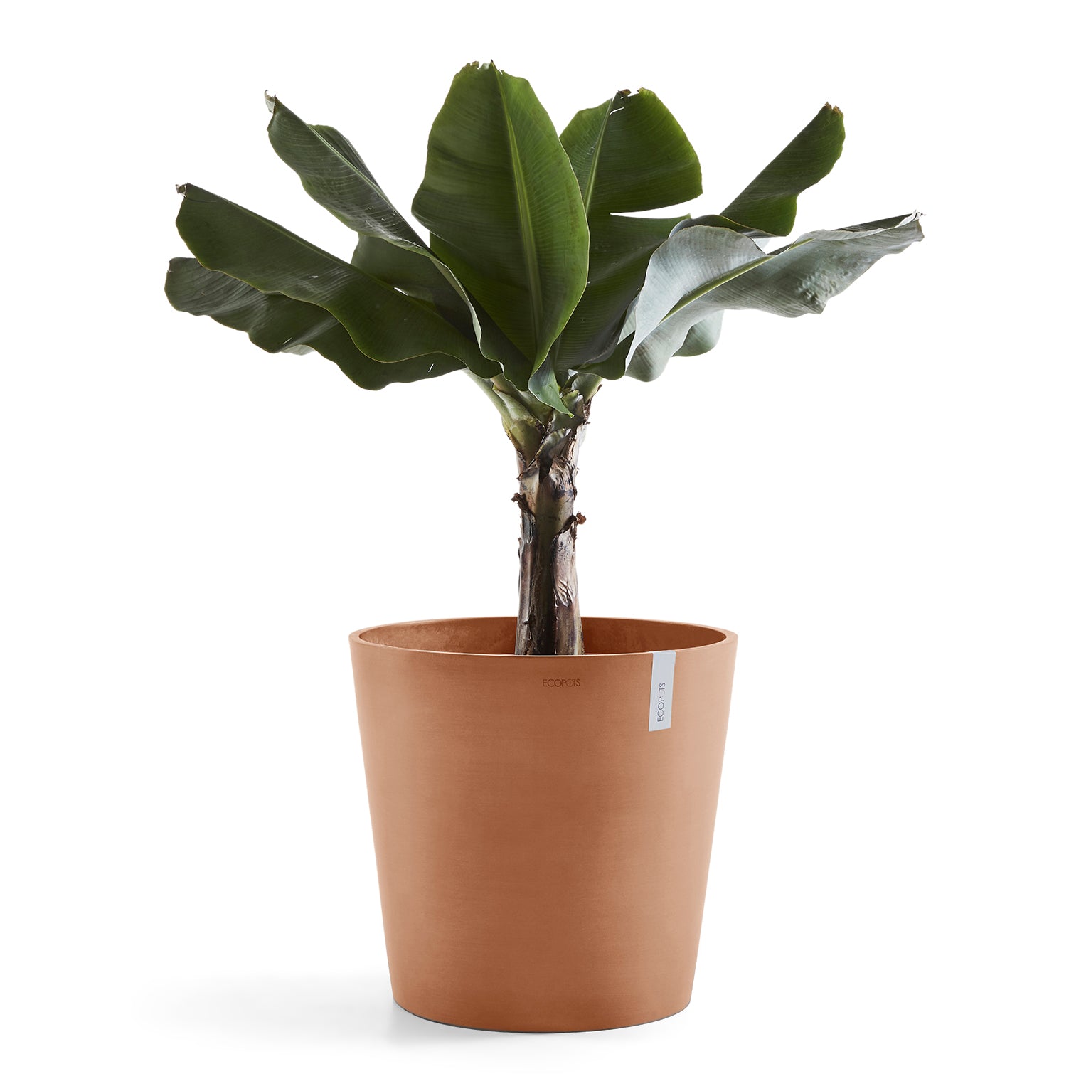 Ecopots Amsterdam 50
