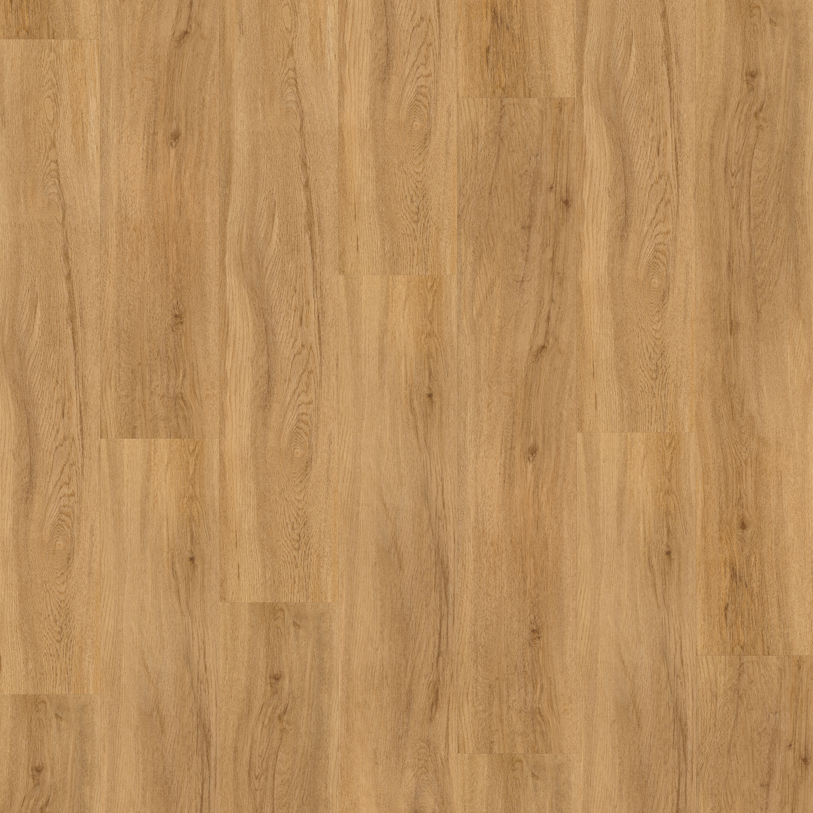 PARADOR Click-Vinyl BASIC 30 - Eiche Sierrra natur - 9,4 mm