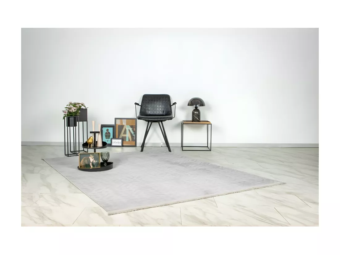 Tapis 160x120cm, design D012A coloris gris - Confort et élégance pour votre intérieur