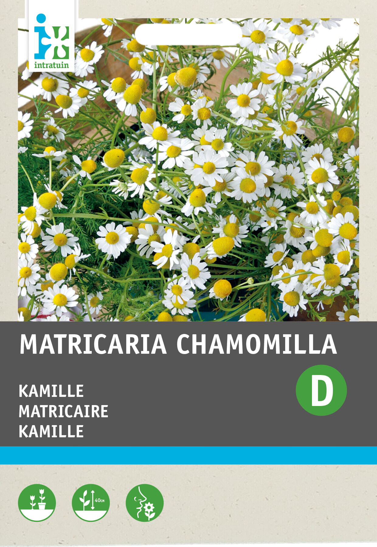 Intratuin kruidenzaad Kamille (Matricaria chamomilla)