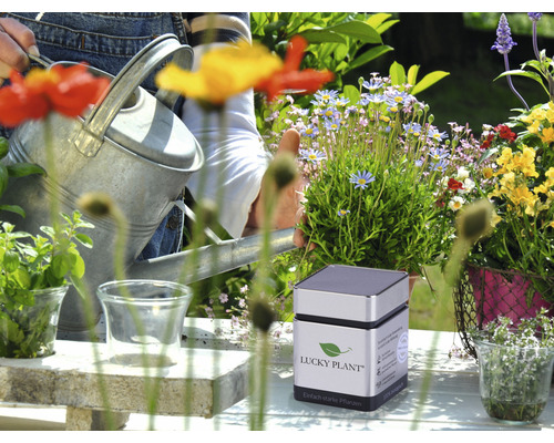 Lucky Plant Plant Strengthener Poeder 400g incl. maatlepel